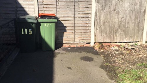 Environmental-friendly waste management with domestic skips in Edmonton
